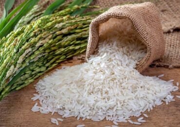 The Best Rice You Can Buy At Familyhut JP