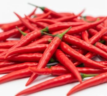 Frozen Fresh Red Chillies – Family Hut