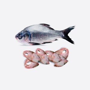 Fresh Katla Fish (Indian Carp) 1kg - Family Hut