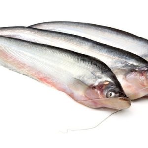 Fresh Pabda Fish (Butter Catfish) - 500g - Family Hut