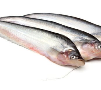 Fresh Pabda Fish (Butter Catfish) – 500g – Family Hut