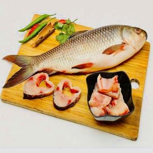 Rohu Fish